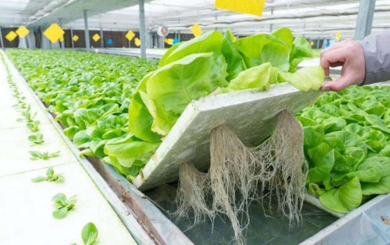 1761182976210183.jpg 1761182976210183.jpg